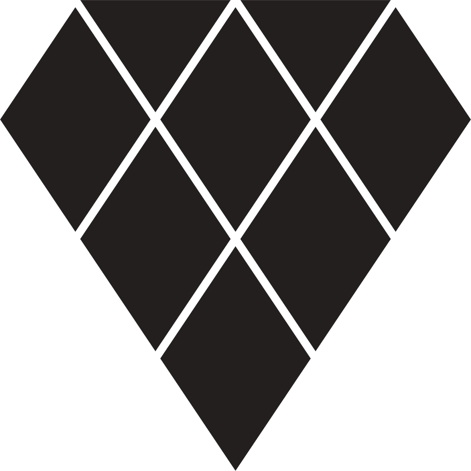 Black Diamond Inc.
